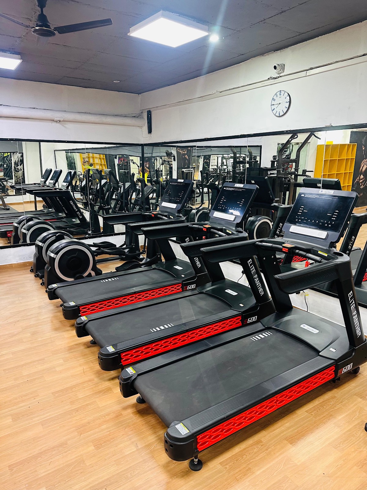 Equipment rack at Gym 52